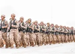 最后时刻突围战来临,南特围绕国王杯完成体检,细节曝光,控场能力成焦点(2024cfl职业超级联赛)-开云