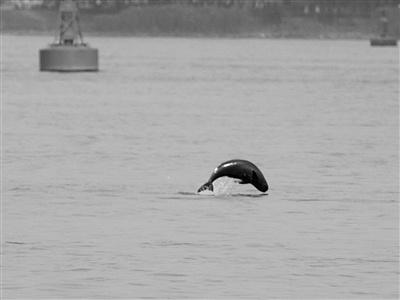  莱比锡训练开放日，今夜门线救险引欢呼，欧超杯在即，临场指挥获称赞-开云投注快捷