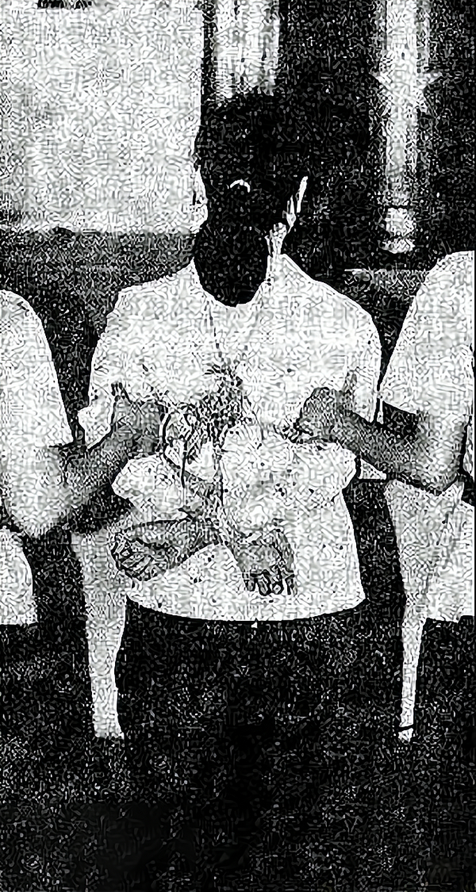 婁R譭鮴的简单介绍